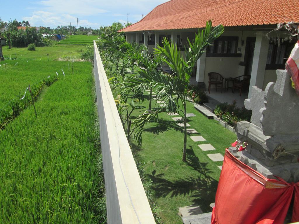 Ayu 2 Wisma tamu