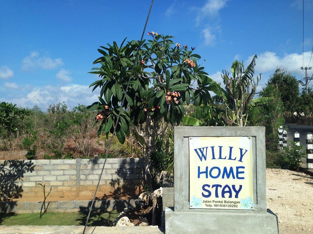 Willy 2*
