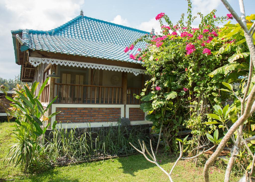 Guest house By Dorry 3*