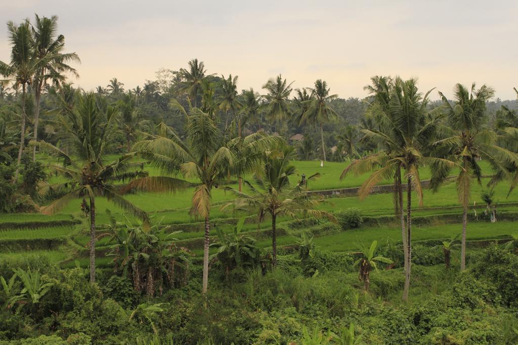 Puri Padma Hotel Ubud (Bali)