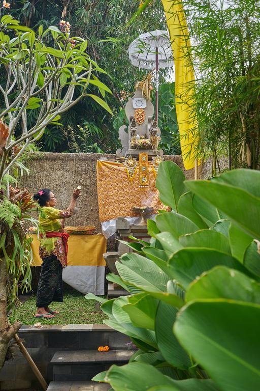 Desak Putu Putera