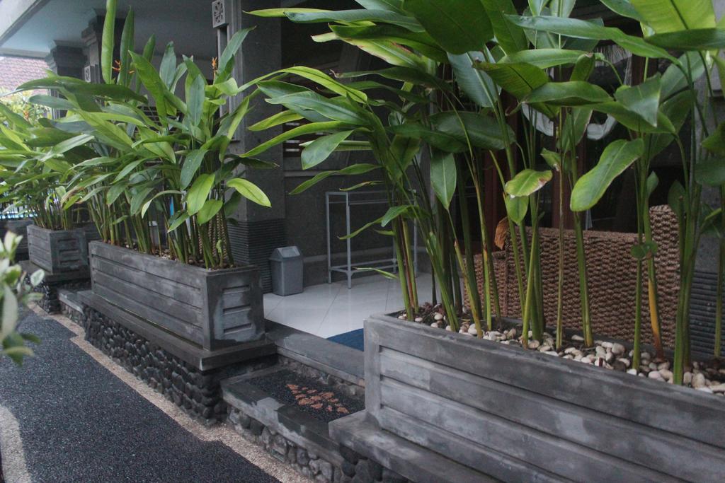 Homestay Letos Kubu Homestay