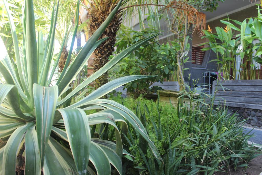 Homestay Letos Kubu Homestay Kuta (Bali)