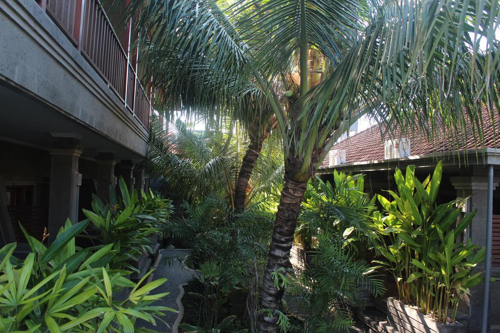 Homestay Letos Kubu Homestay *
