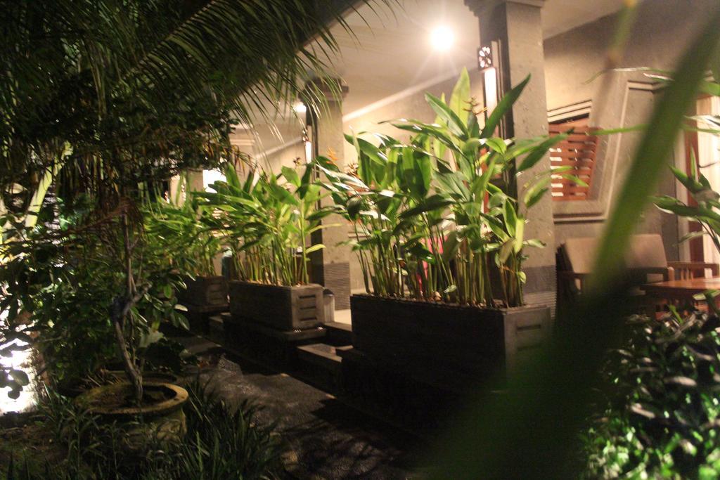 Letos Kubu Homestay