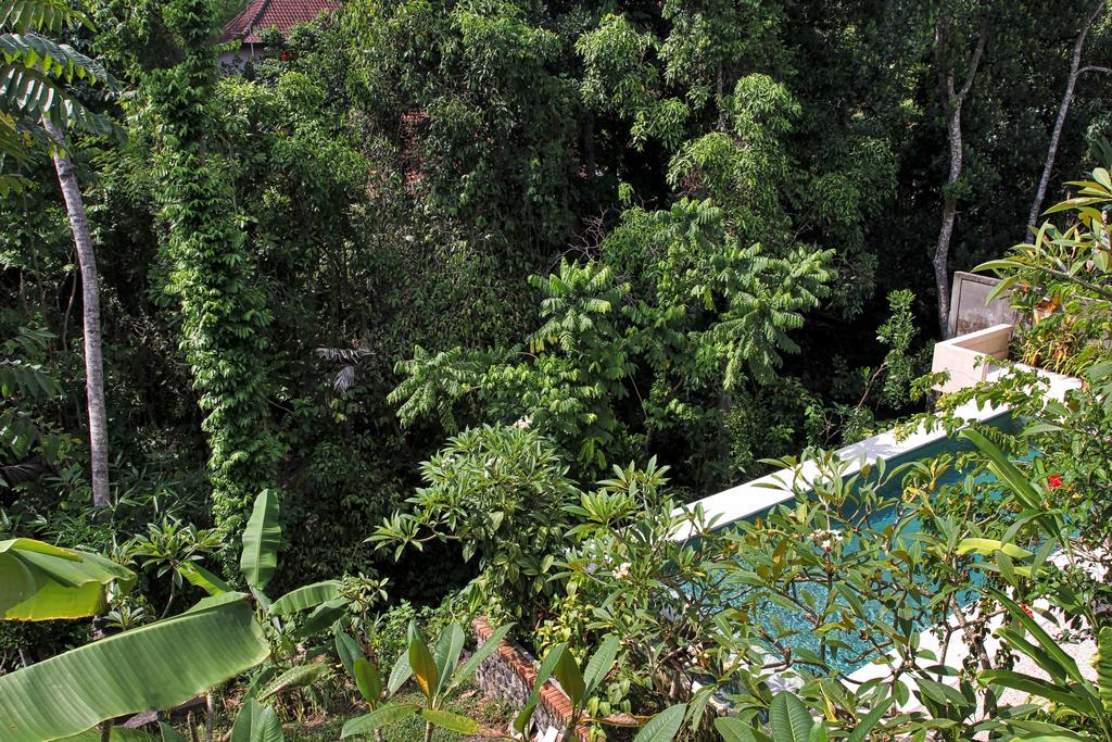 Guest house Bismajaya *