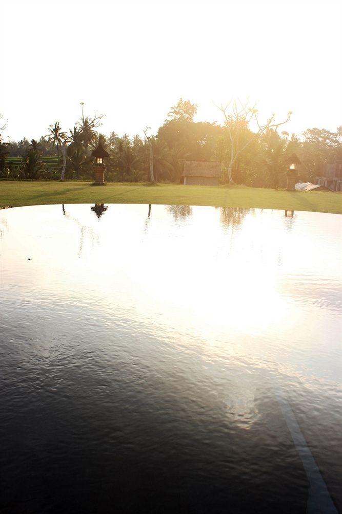 Bintang Pari Ubud (Bali)