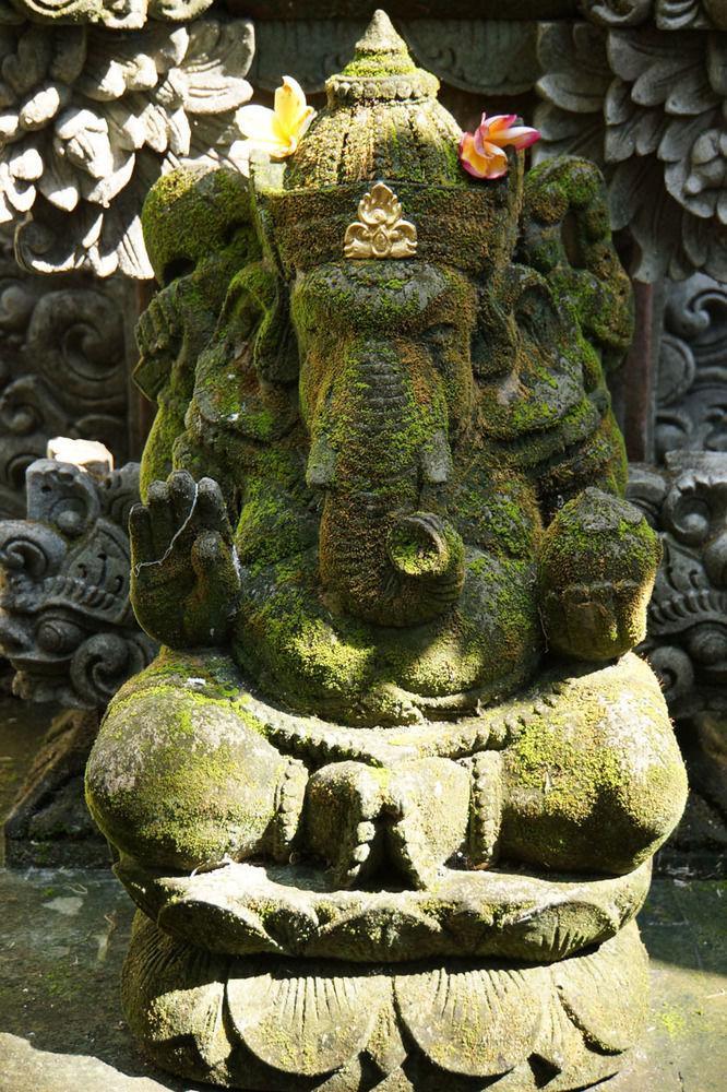 Dream Wisma tamu Ubud (Bali)