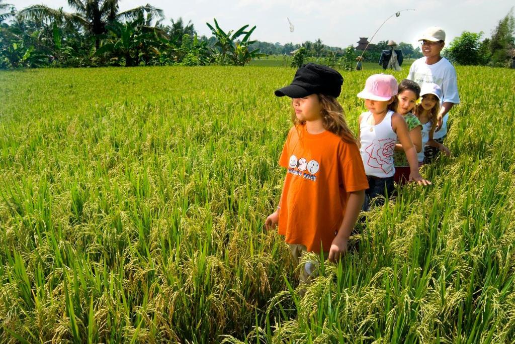 The Sungu & Ubud (Bali)
