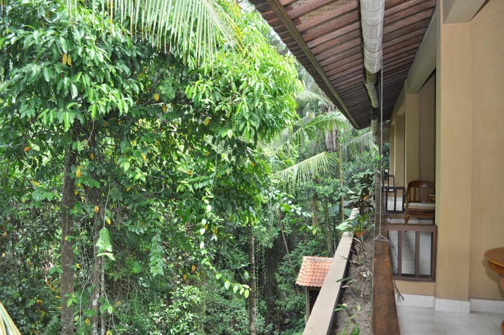 Guest house Jati 3 And