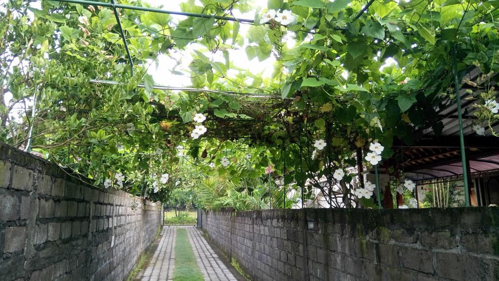 Mulia Homestay Nusa Dua (Bali)