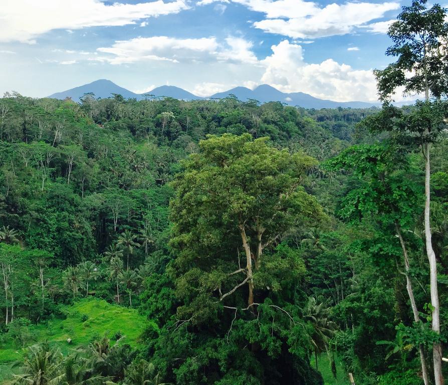 Villa Ayuterra Ubud (Bali)