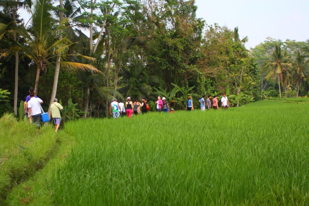 Mesari 4* Ubud (Bali)