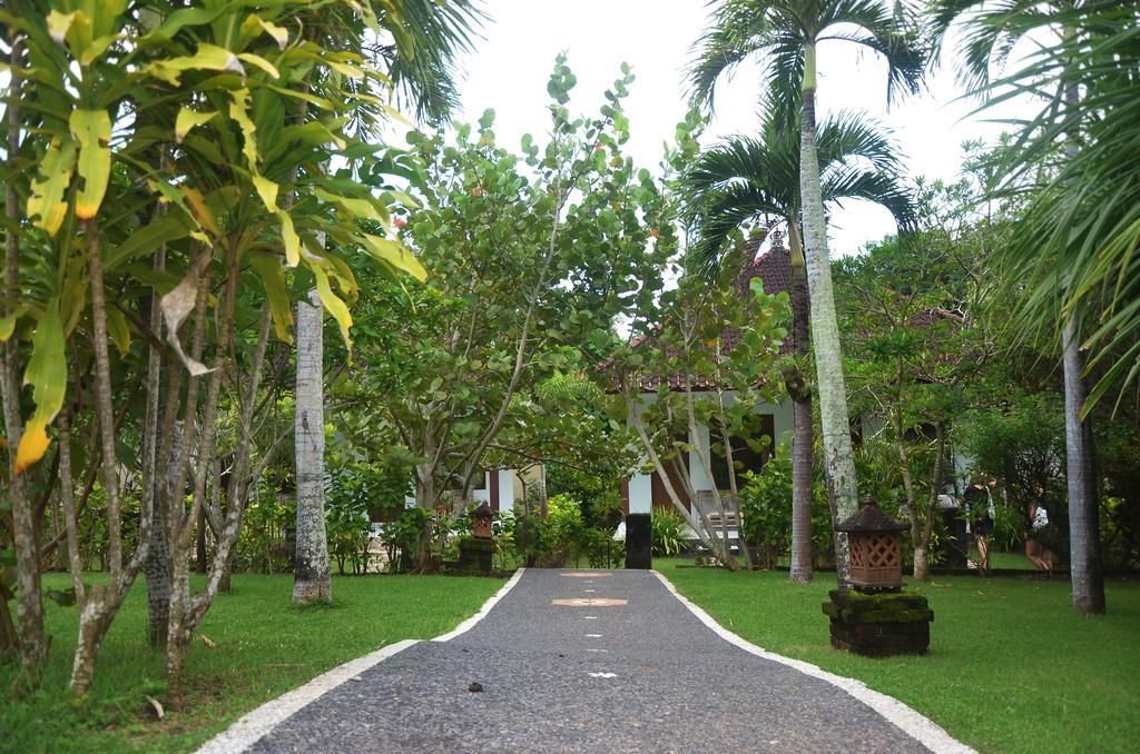 Medori Putih