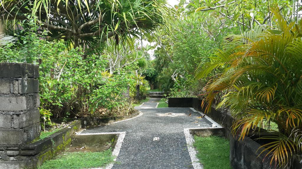 Medori Putih Uluwatu (Bali)