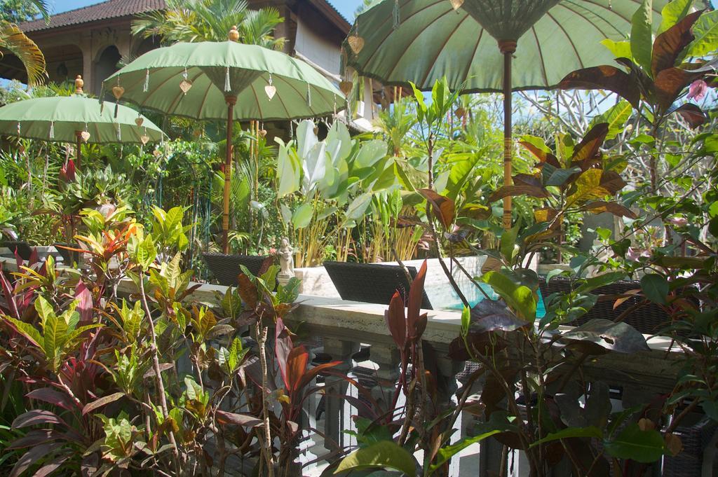 Taman Rahasia Tropical Sanctuary And Ubud (Bali)