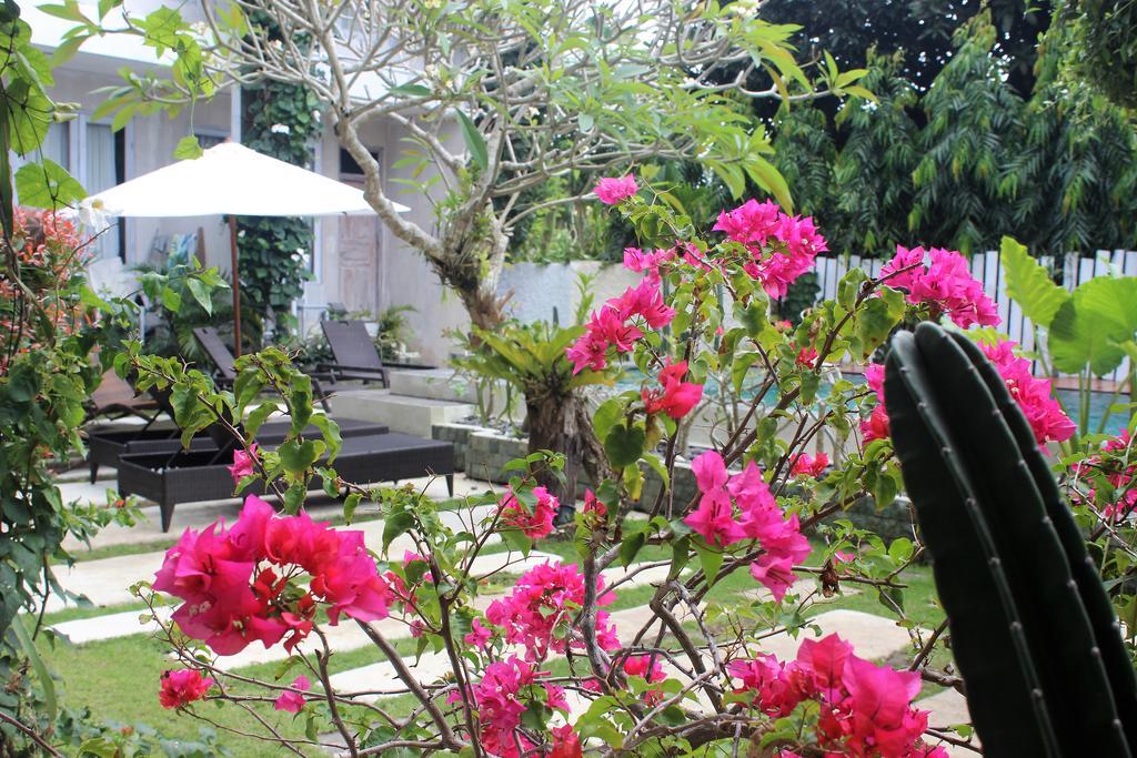 Guest house Bingin