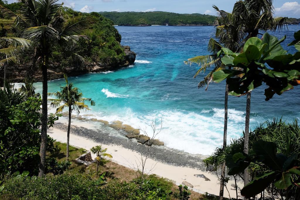 Bali Bio Guest house