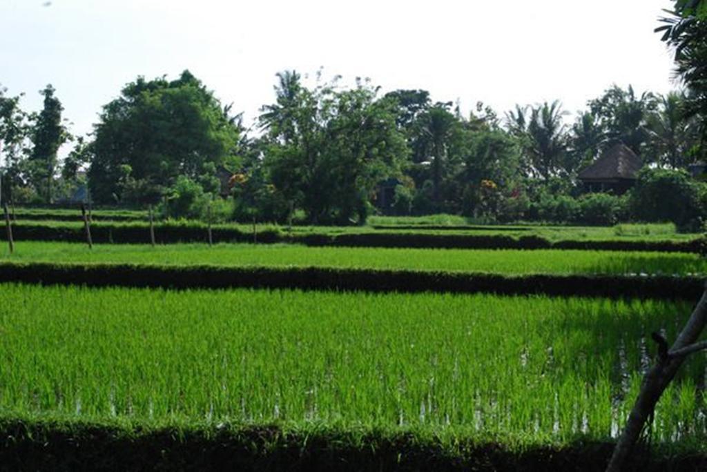 Saren Indah Hotel