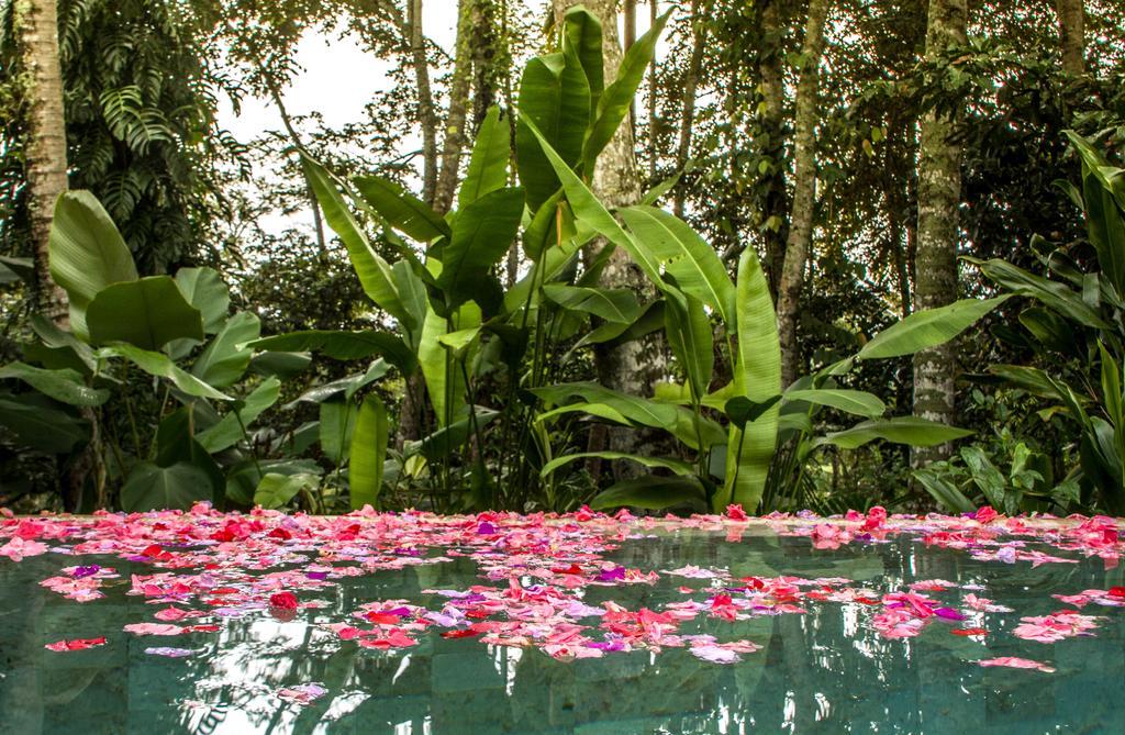 Sandat Glamping Tents Luxury tent Ubud (Bali)
