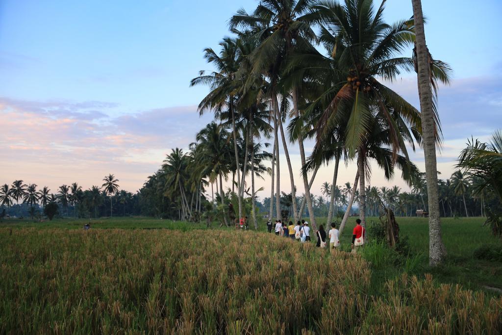 Hotel Om Ham Retreat And 4*
