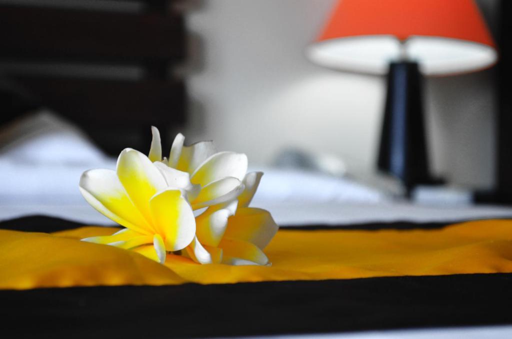 Hotel Nirmala 3*