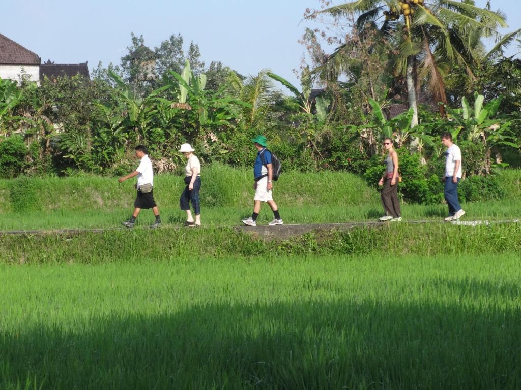 The Sungu & Resort
