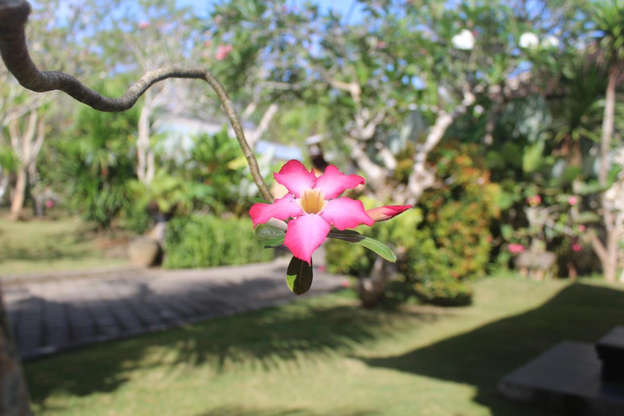 El Bali *