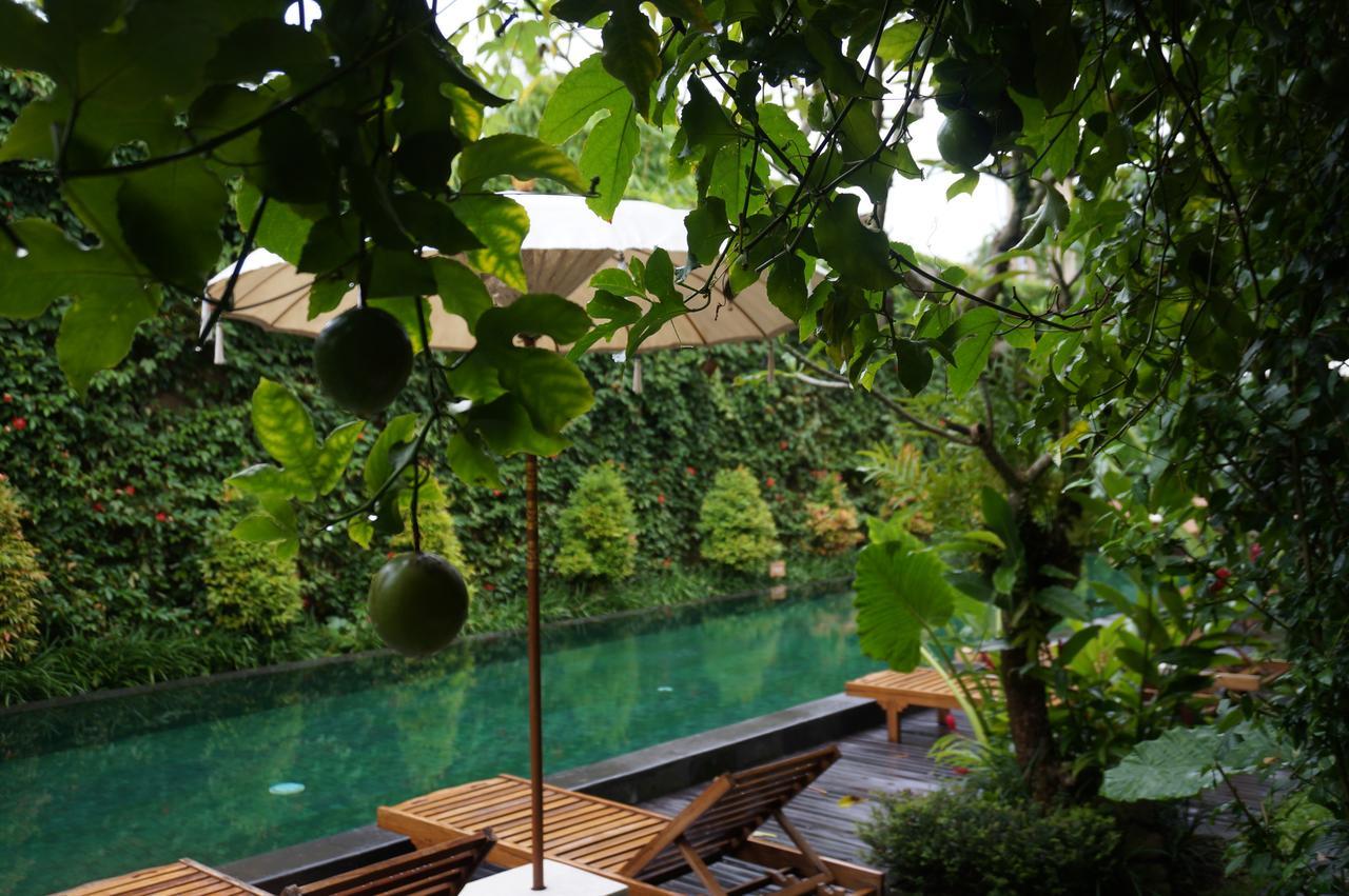 Hotel Sapodilla