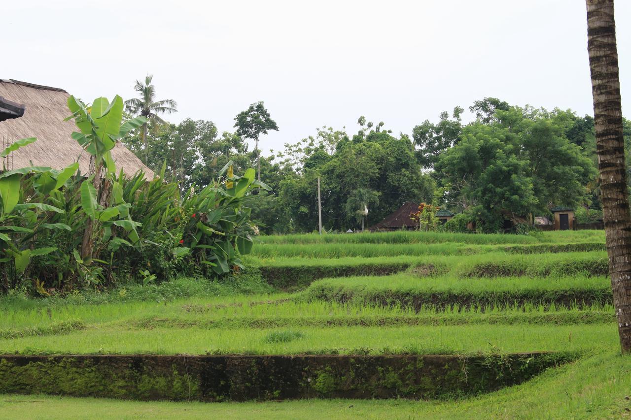 Saren Indah