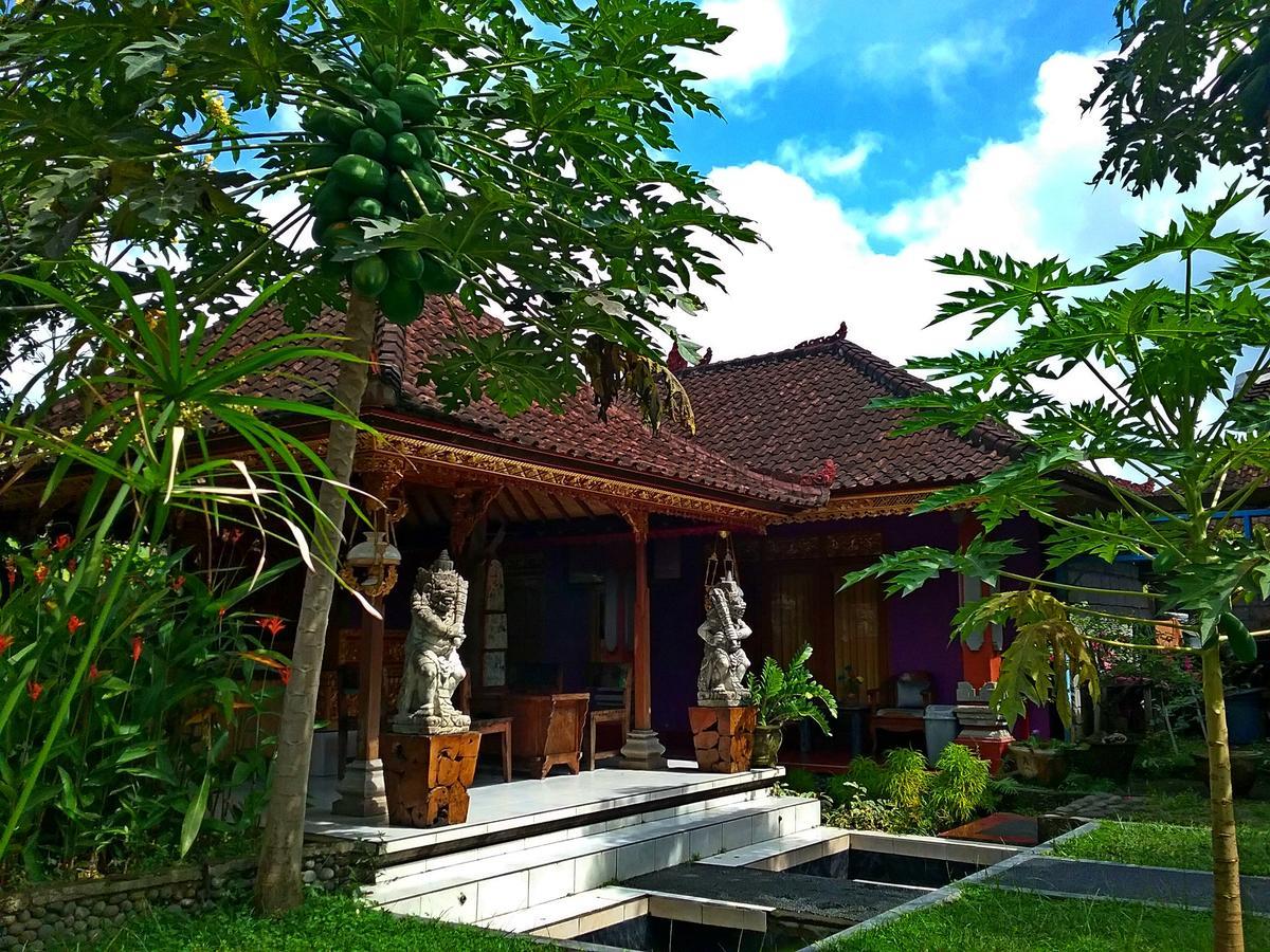 Rona Guest house