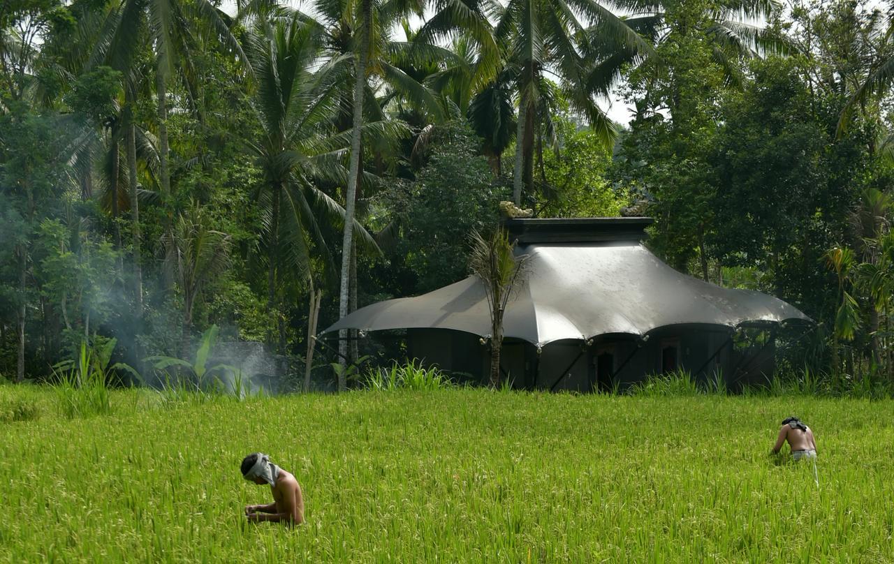 Capella Ubud, Bali Resort 5*