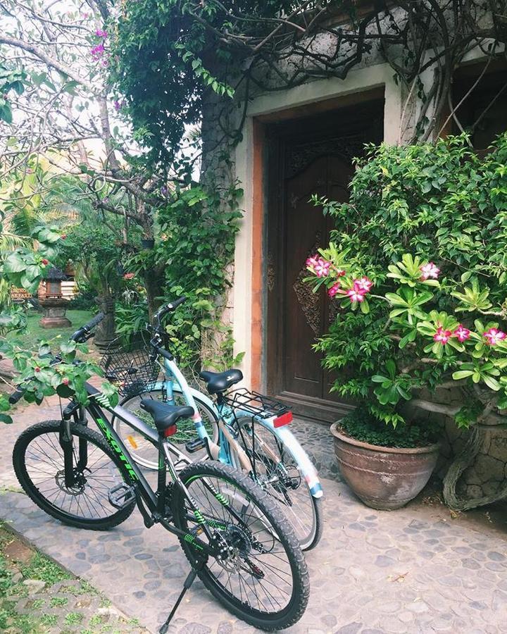 Tempat Tidur & Sarapan Agung 3*
