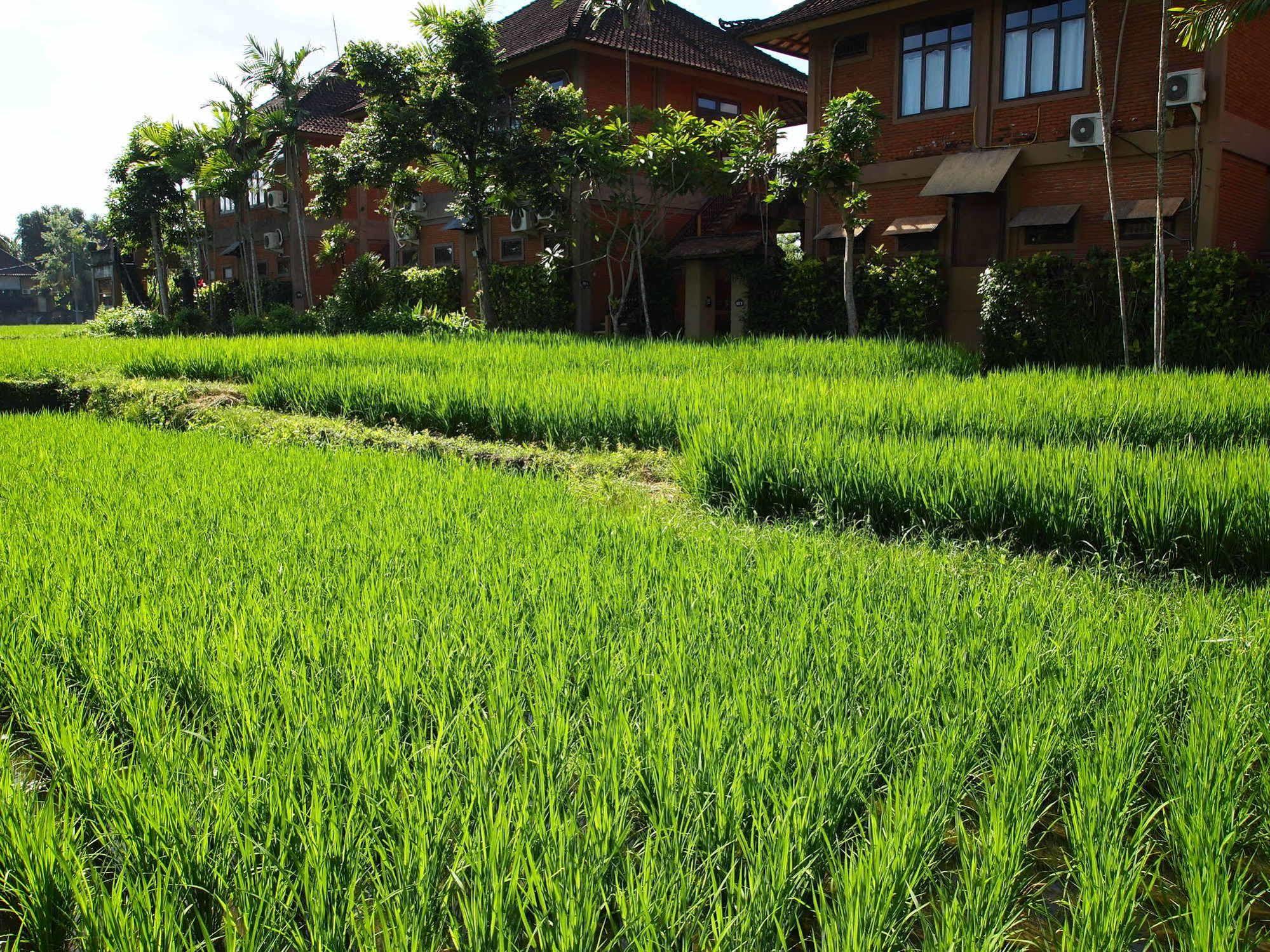 Saren Indah Hotel Ubud (Bali)