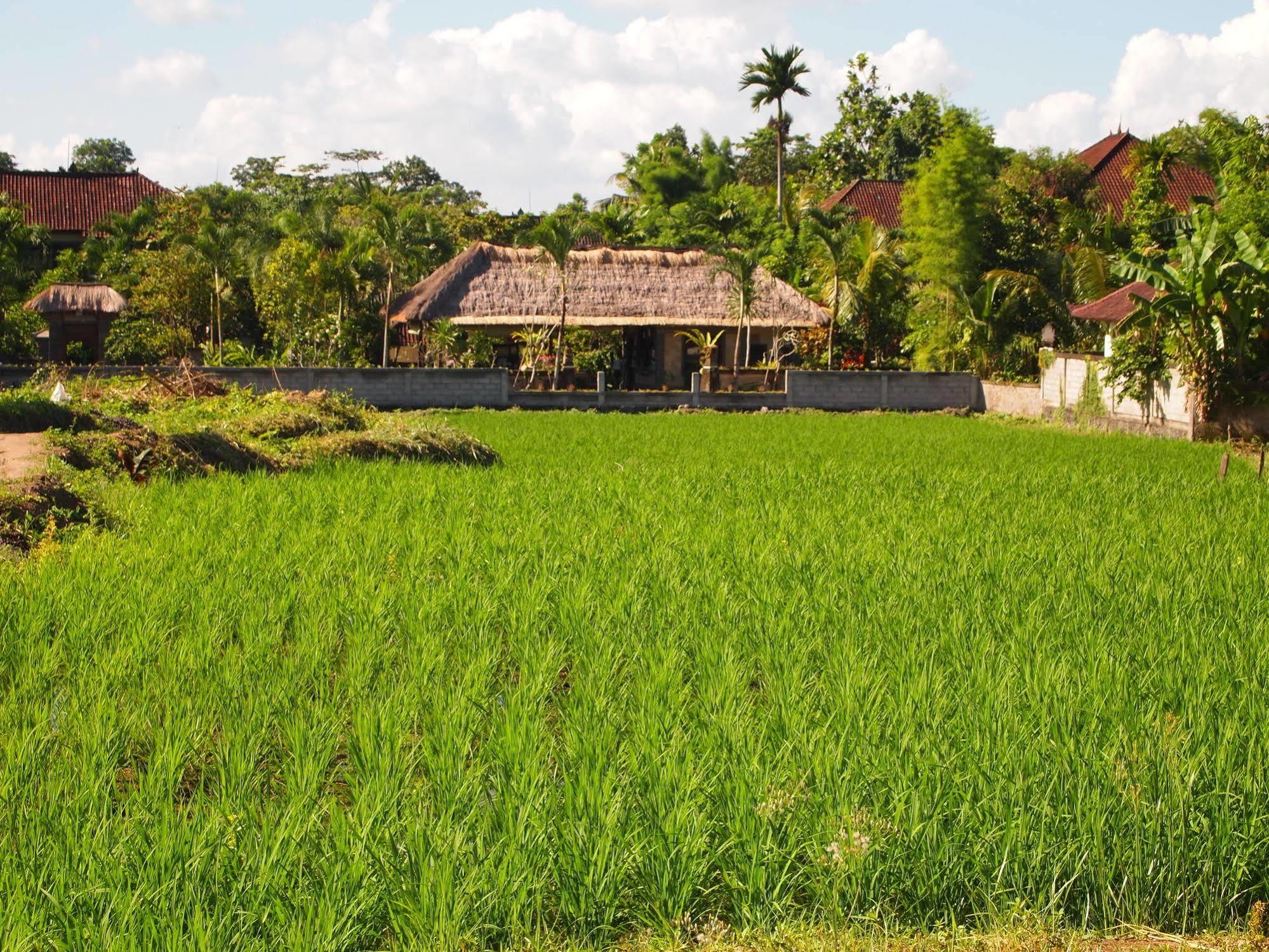 Saren Indah Ubud (Bali)