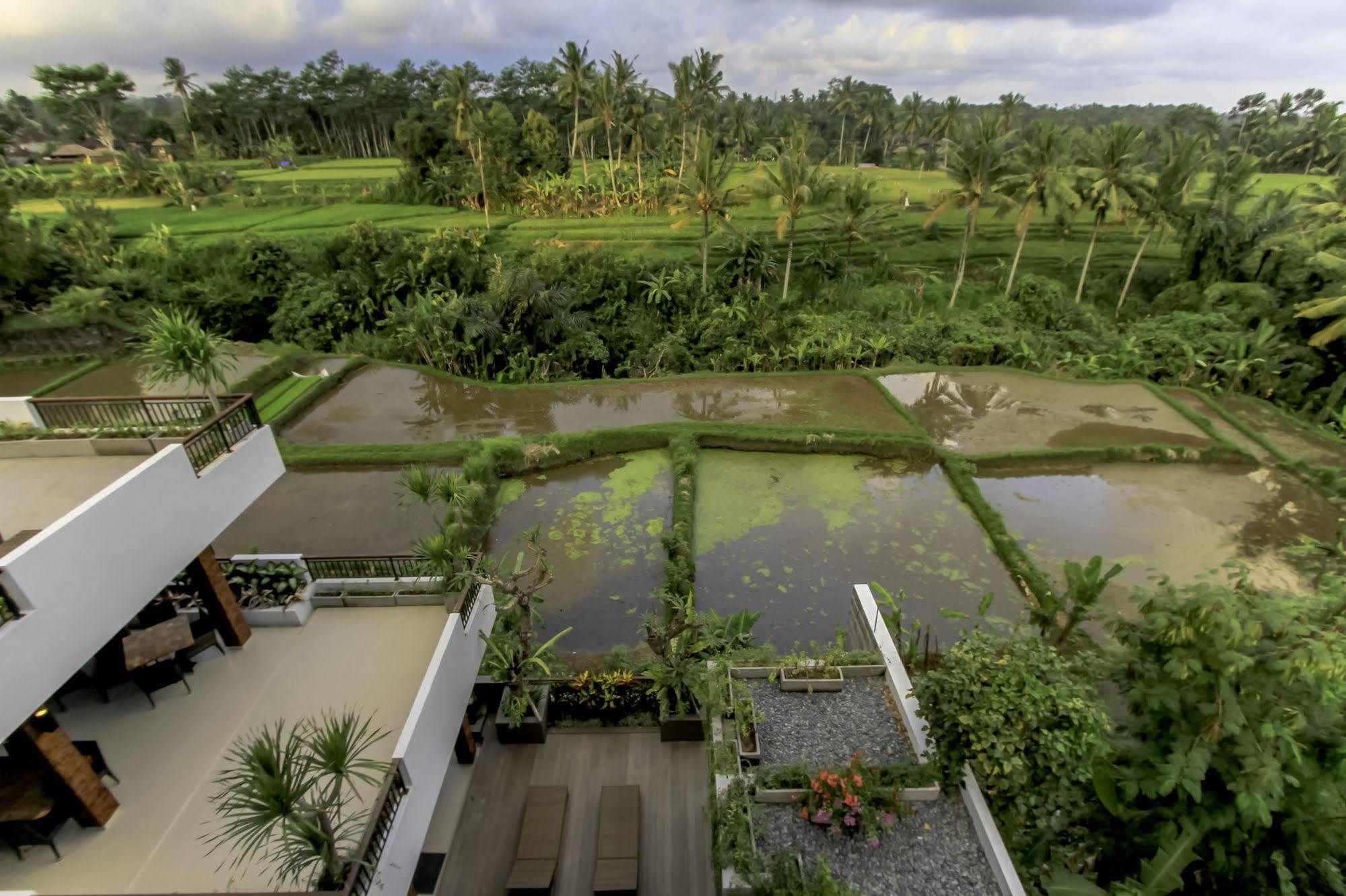 Puri Padma 3* Ubud (Bali)