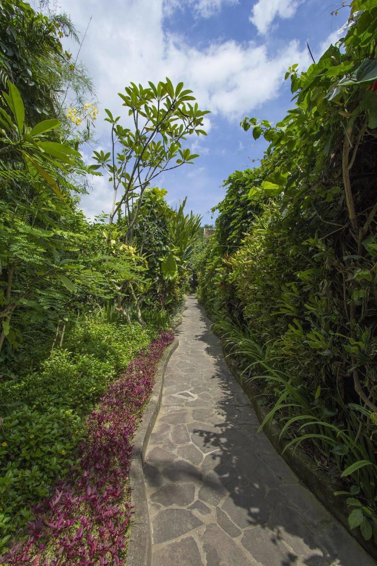 Ladera * Ubud (Bali)