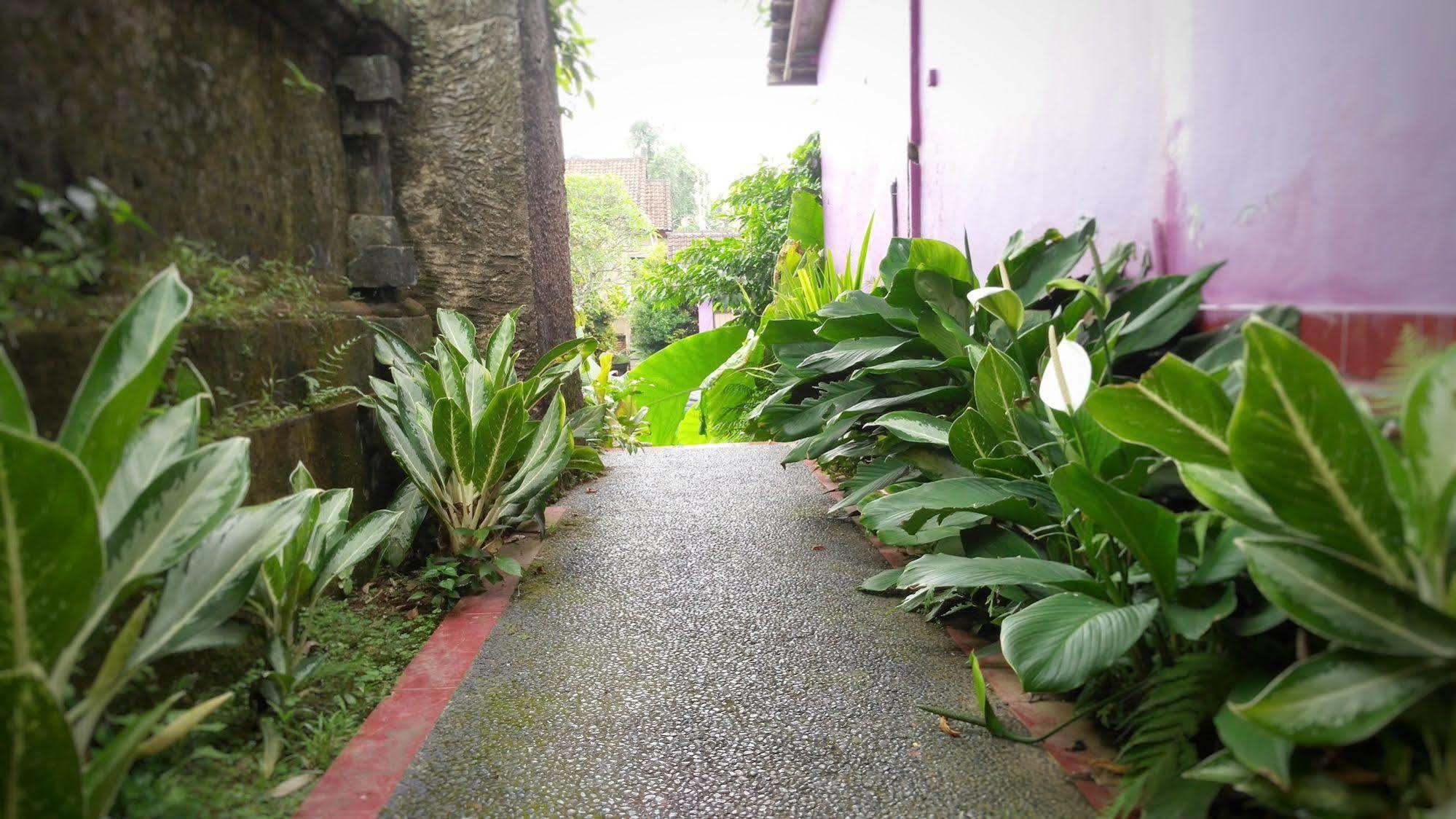 Guest house Rona