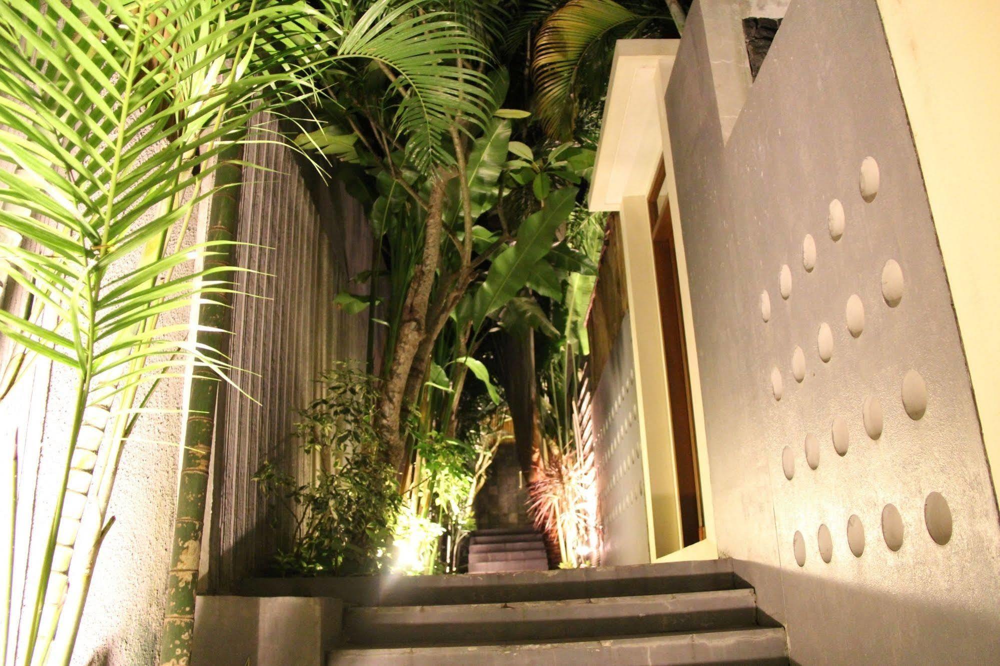 Travis Villa