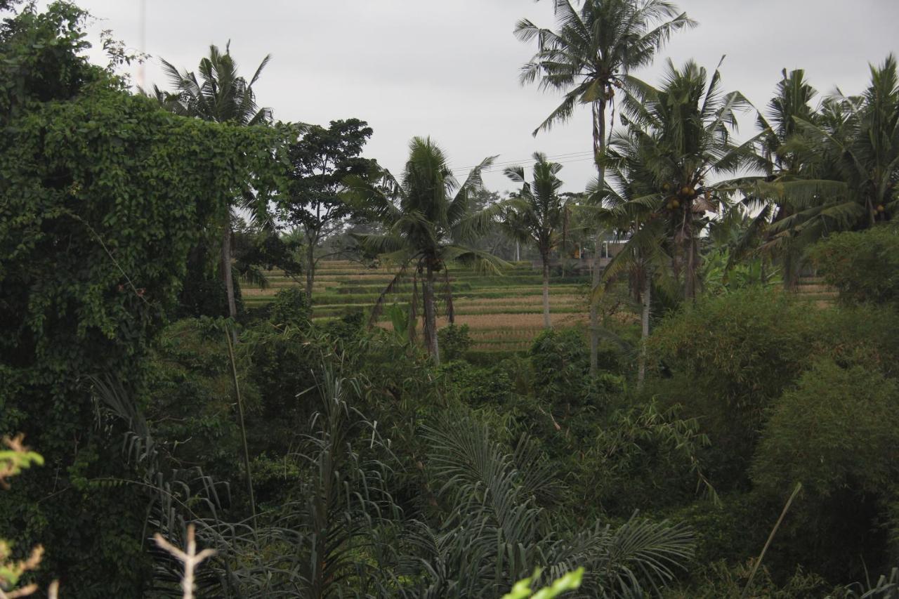 Ogek Ubud (Bali)