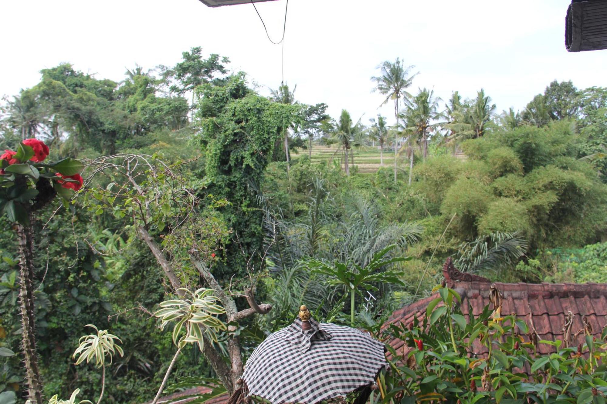 Ogek Guest house *