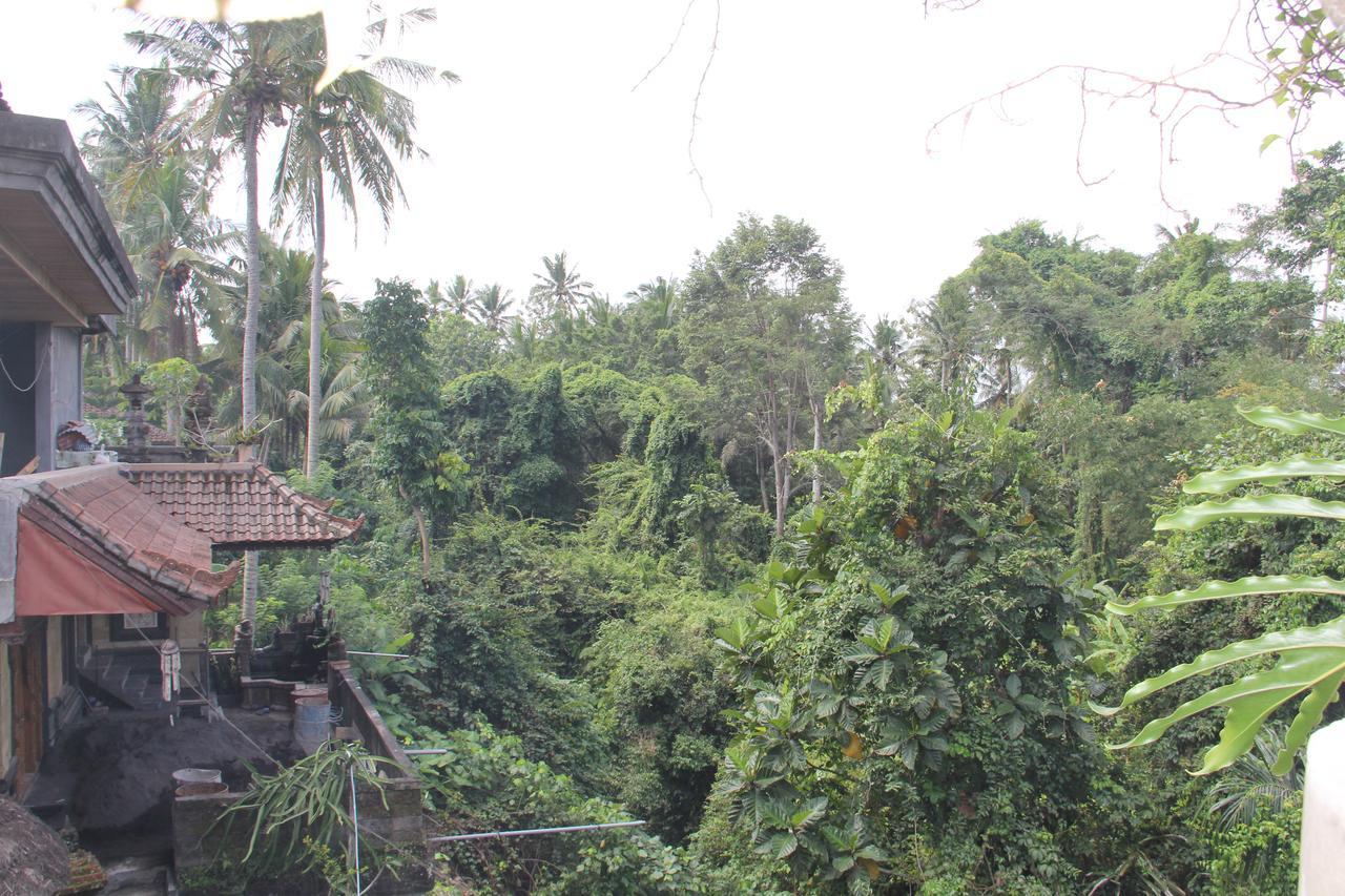 Ogek Ubud (Bali)
