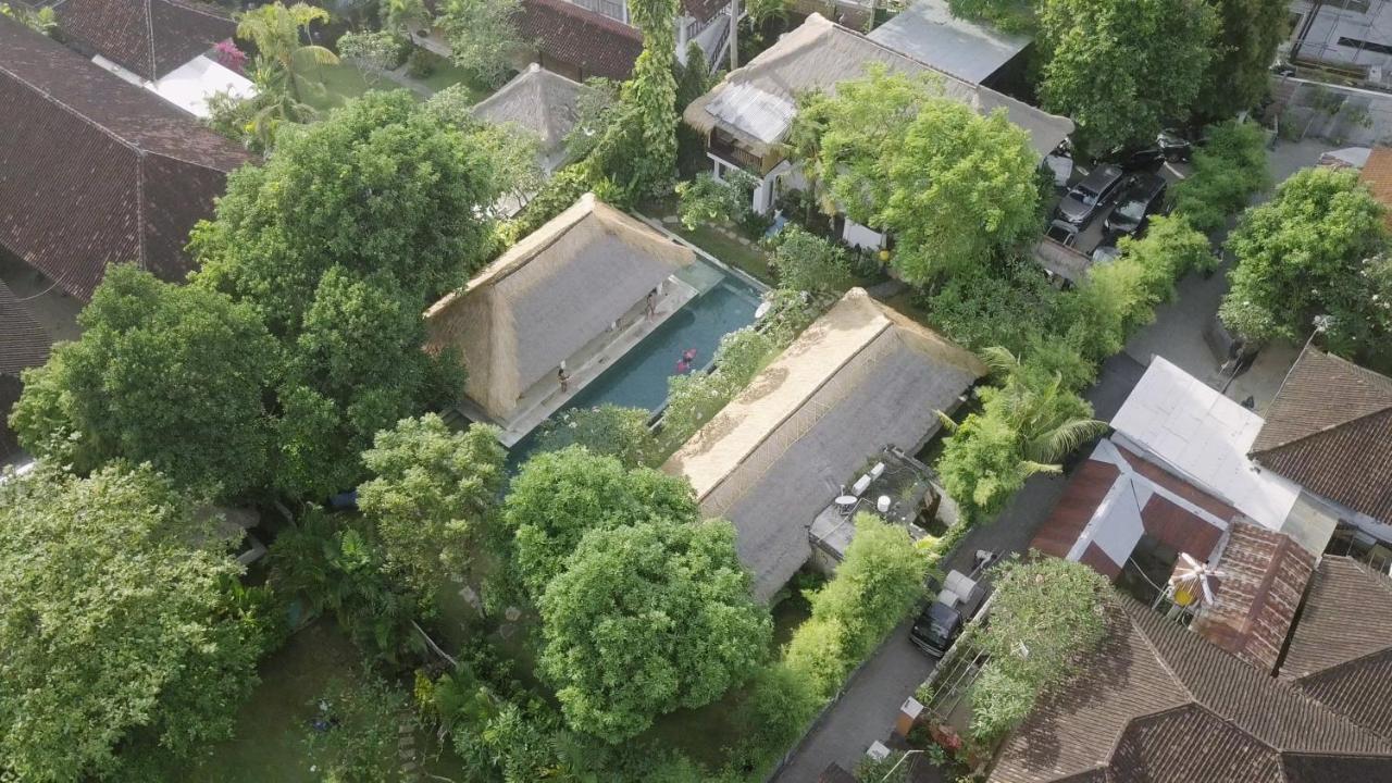 Hostel Blind Dog Sanur (Bali)