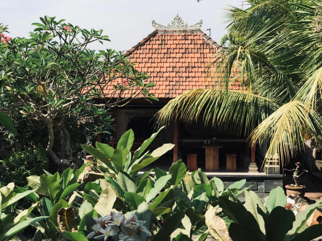 El Bali *