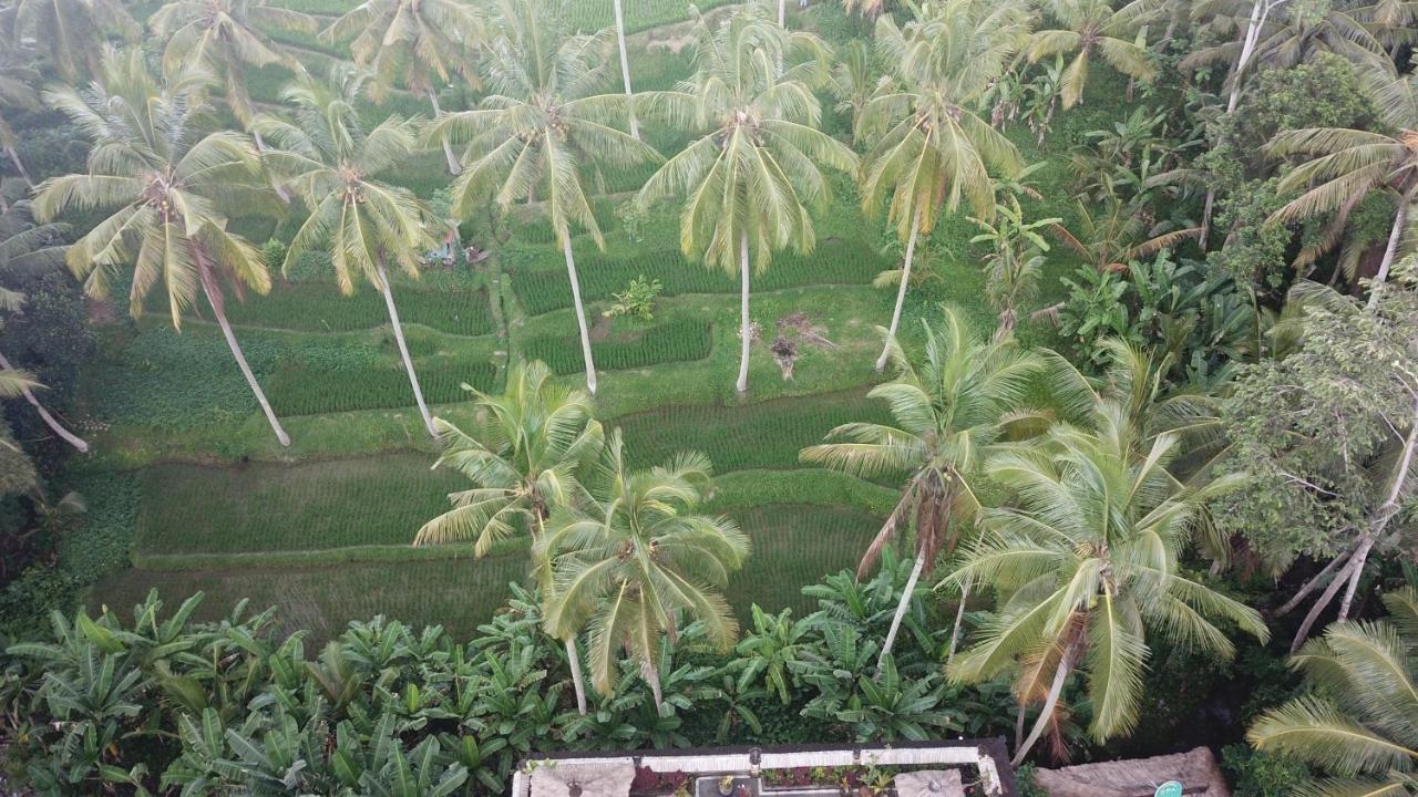 Holiday park Junjungan Ubud (Bali)