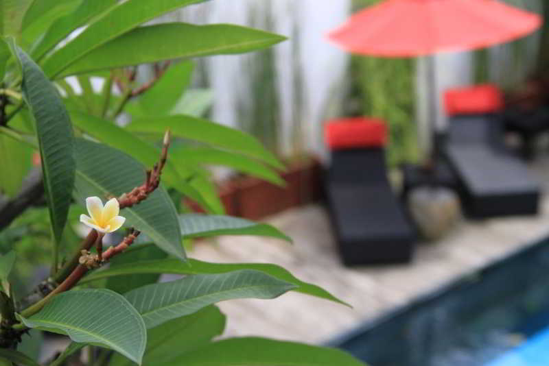 Kamar Kamar Boutique Guest house