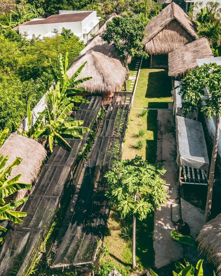 Bali Bio Uluwatu (Bali)