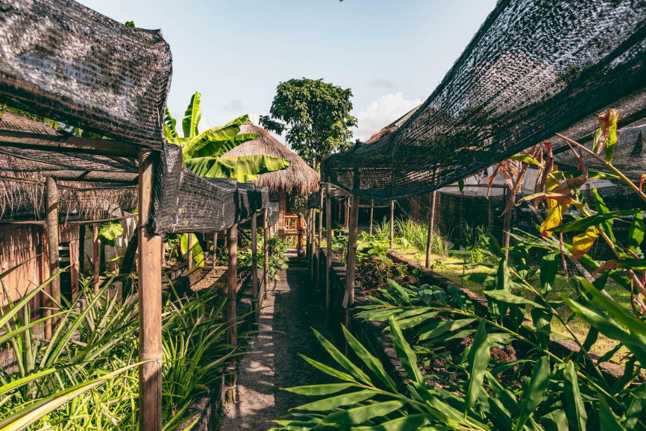 Guest house Bali Bio Uluwatu (Bali)