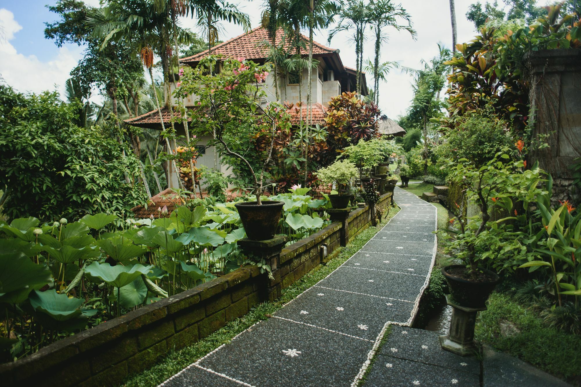 Alam Jiwa Ubud (Bali)