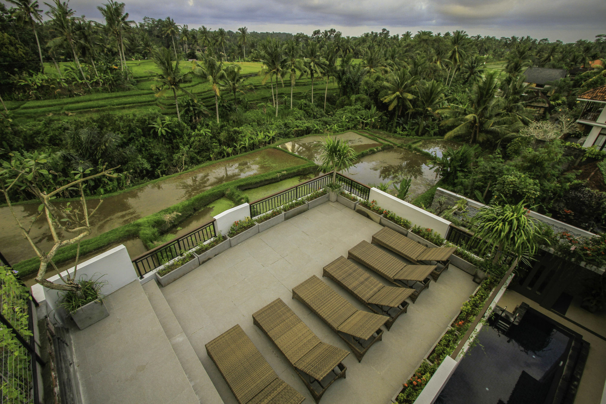 Hotel Puri Padma 3*